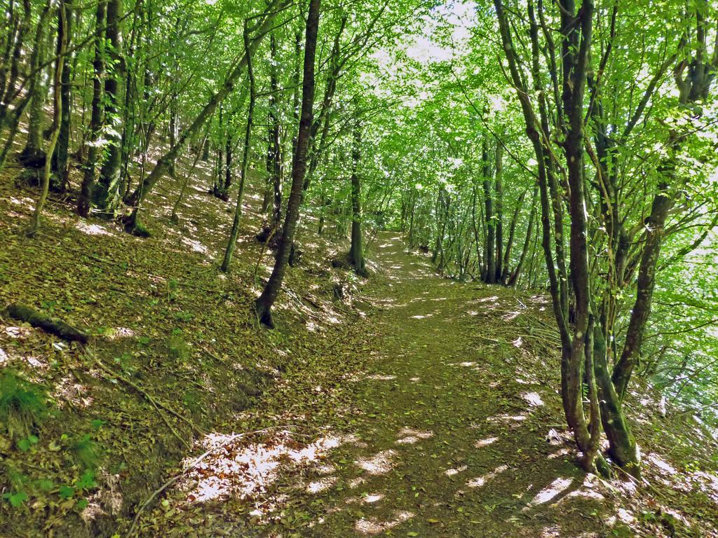 Locanda Le Panche Pistoia Dış mekan fotoğraf